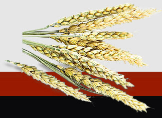 首页- 新宝GG集团创造事业平台