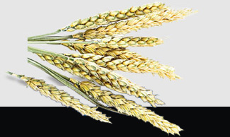 首页- 新宝GG集团创造事业平台