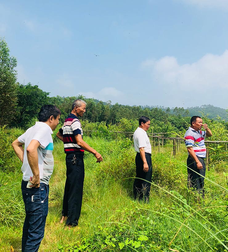 首页- 新宝GG集团创造事业平台