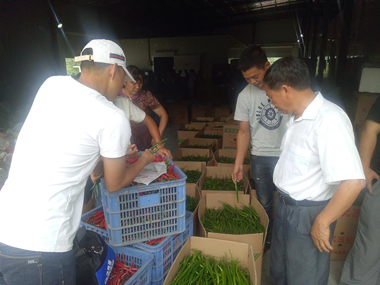 首页- 新宝GG集团创造事业平台