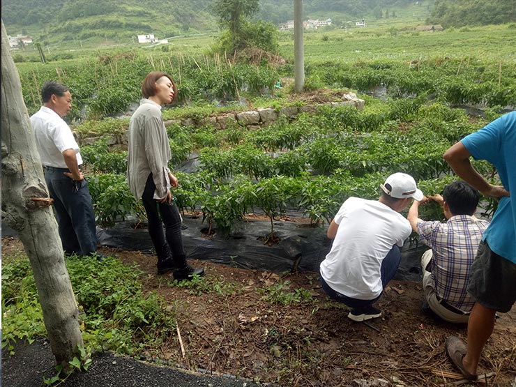 首页- 新宝GG集团创造事业平台