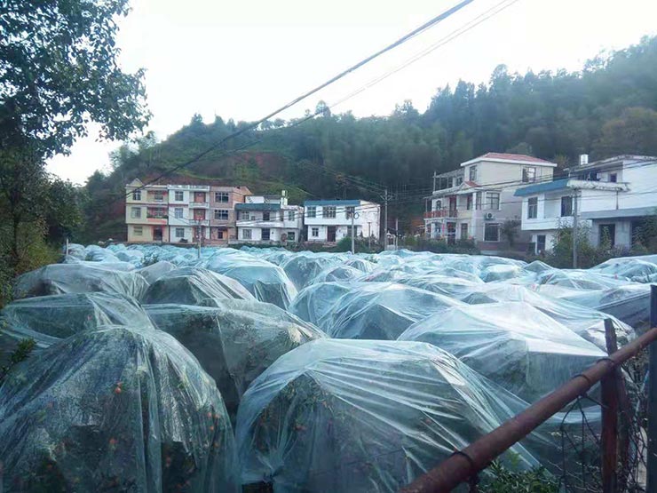 首页- 新宝GG集团创造事业平台