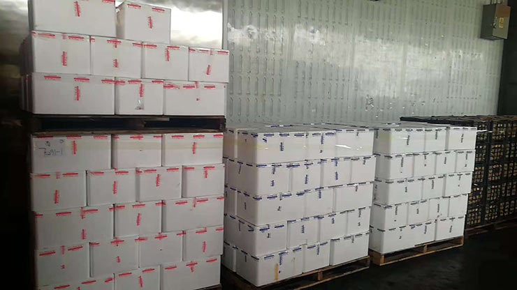 首页- 新宝GG集团创造事业平台