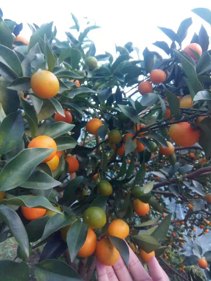 首页- 新宝GG集团创造事业平台