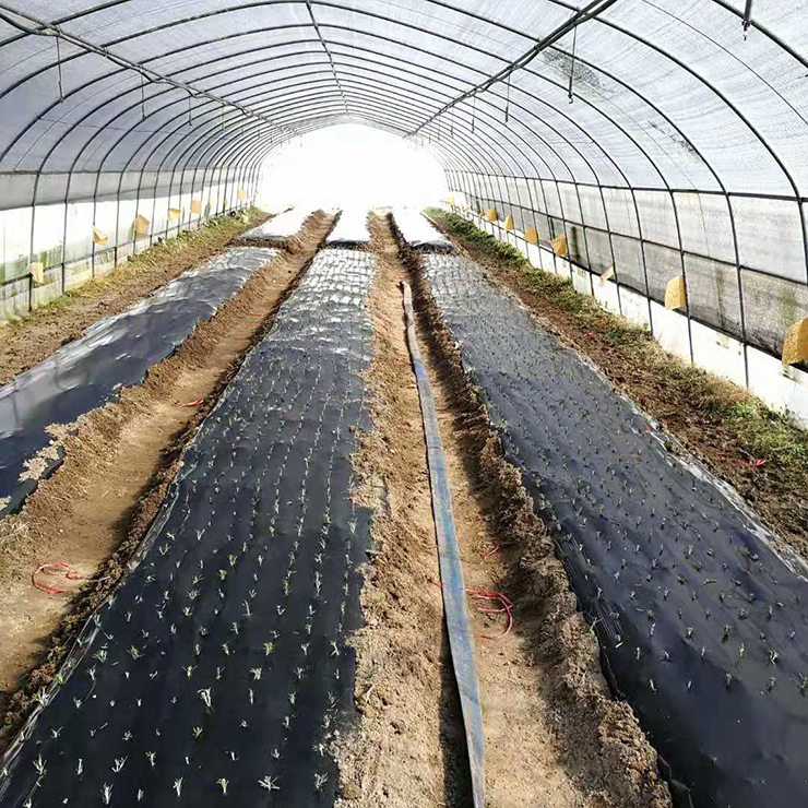 首页- 新宝GG集团创造事业平台