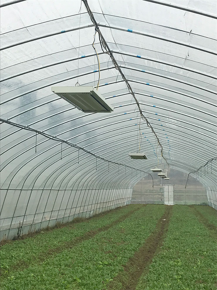 首页- 新宝GG集团创造事业平台