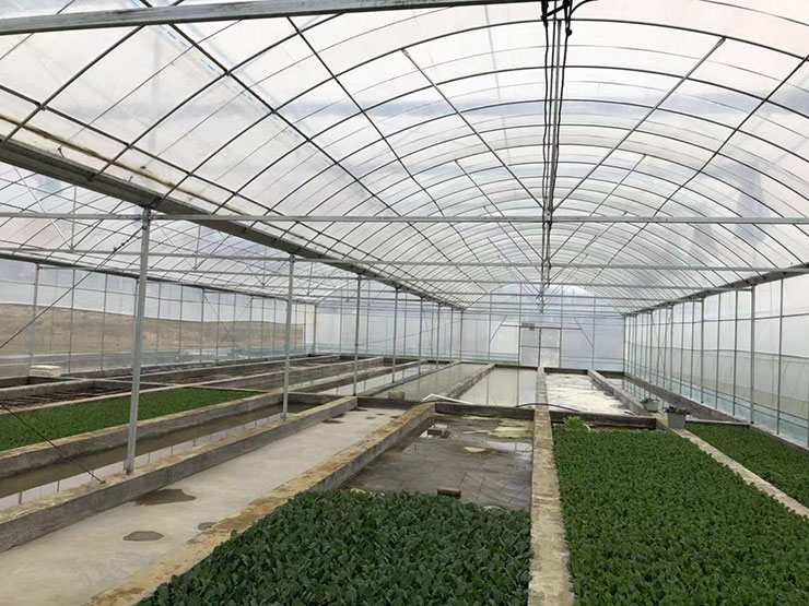 首页- 新宝GG集团创造事业平台