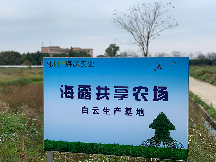 首页- 新宝GG集团创造事业平台