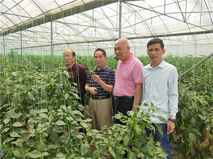 首页- 新宝GG集团创造事业平台