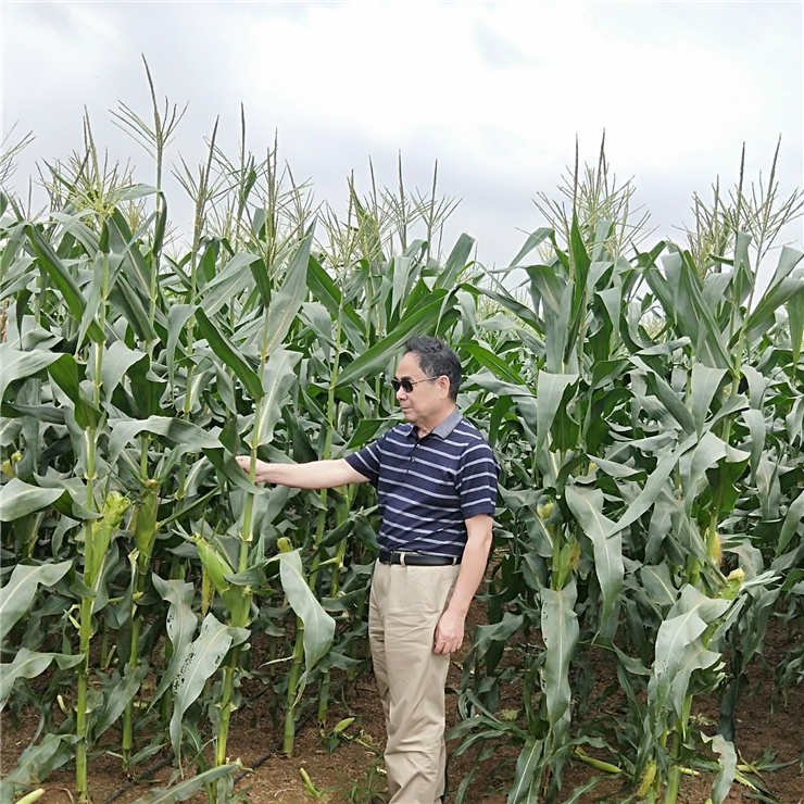 首页- 新宝GG集团创造事业平台