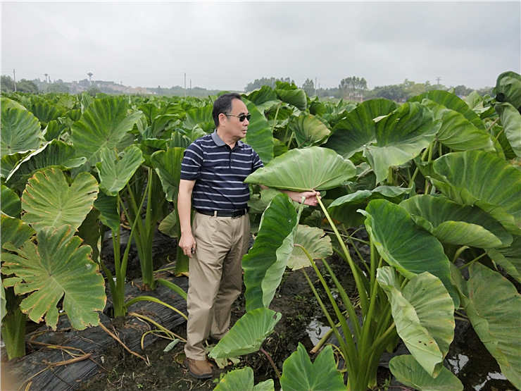 首页- 新宝GG集团创造事业平台