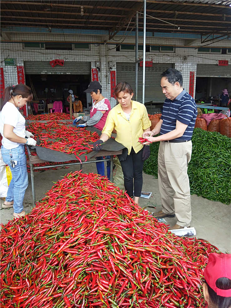 首页- 新宝GG集团创造事业平台