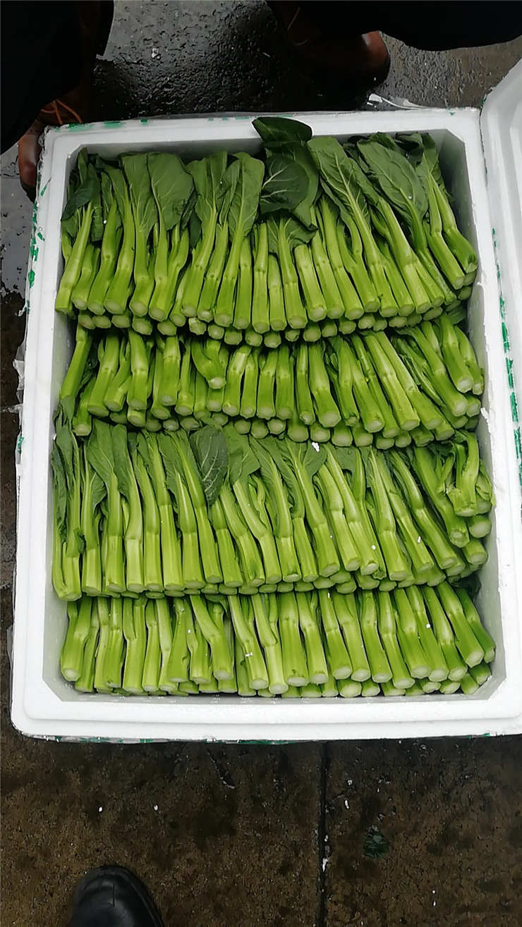 首页- 新宝GG集团创造事业平台