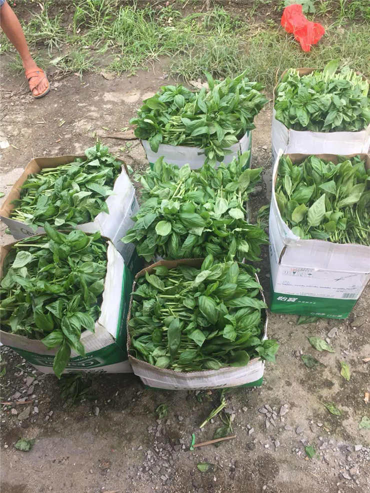 首页- 新宝GG集团创造事业平台