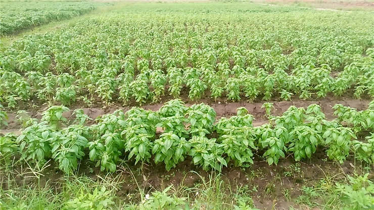 首页- 新宝GG集团创造事业平台