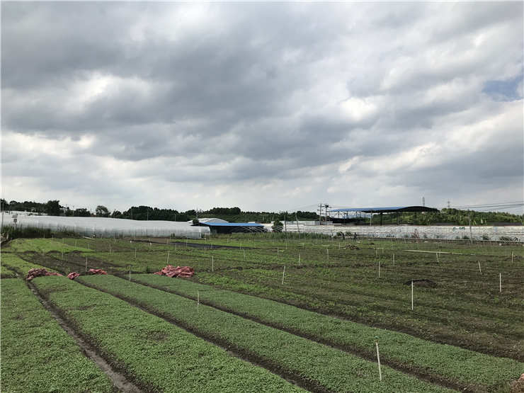 首页- 新宝GG集团创造事业平台