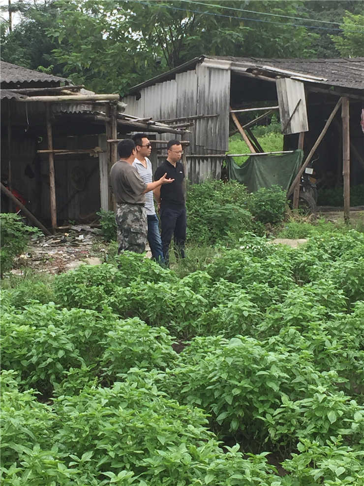 首页- 新宝GG集团创造事业平台