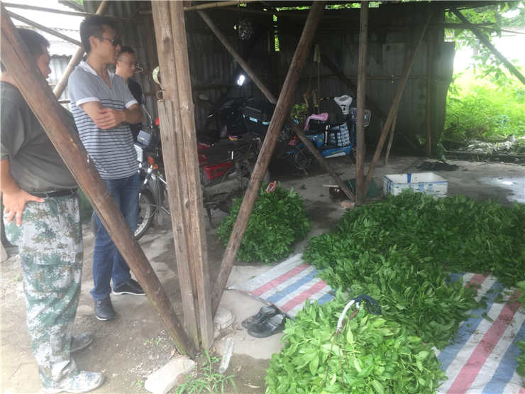 首页- 新宝GG集团创造事业平台