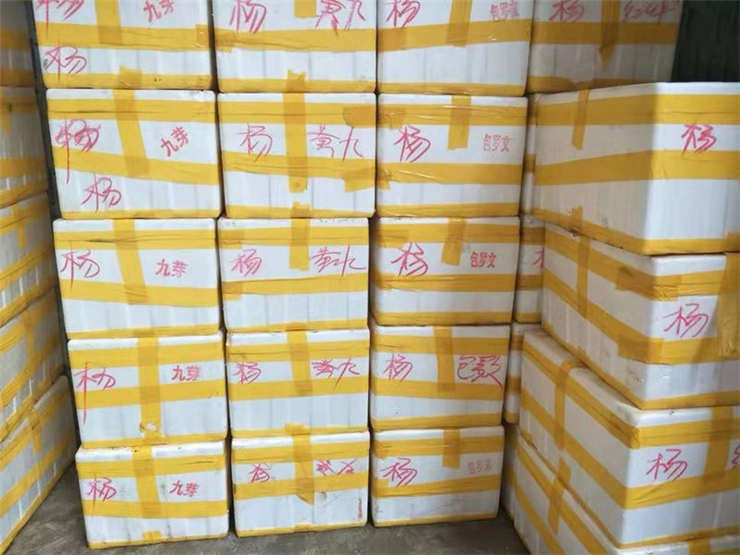 首页- 新宝GG集团创造事业平台