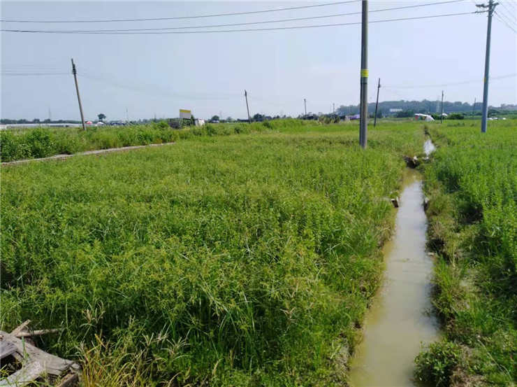 首页- 新宝GG集团创造事业平台