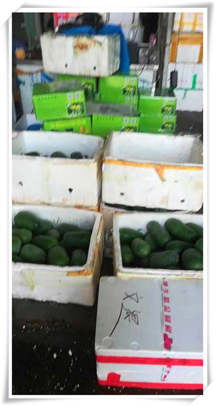 首页- 新宝GG集团创造事业平台