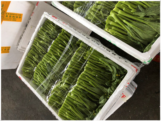 首页- 新宝GG集团创造事业平台