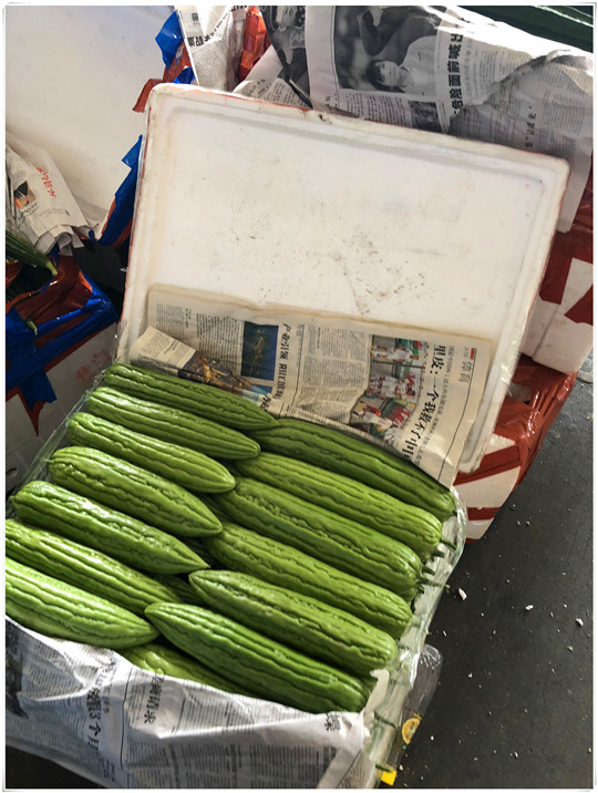 首页- 新宝GG集团创造事业平台