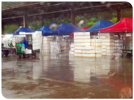 首页- 新宝GG集团创造事业平台