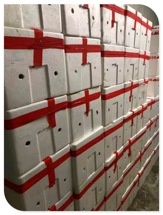 首页- 新宝GG集团创造事业平台