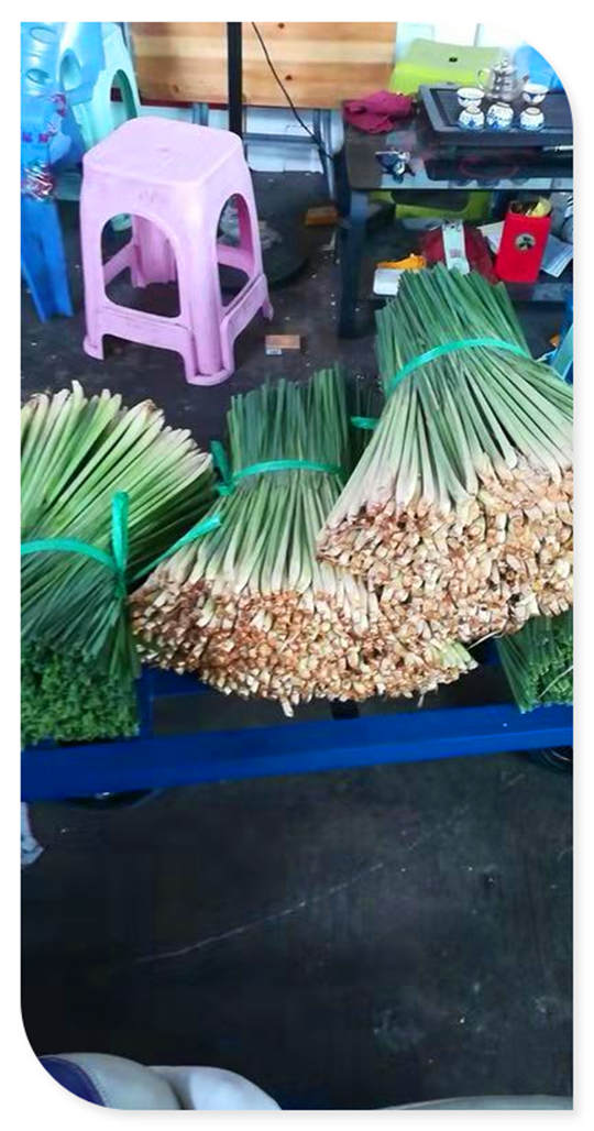 首页- 新宝GG集团创造事业平台