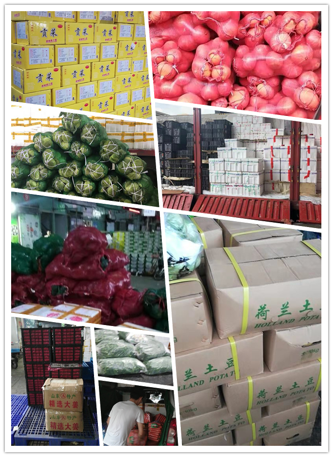 首页- 新宝GG集团创造事业平台