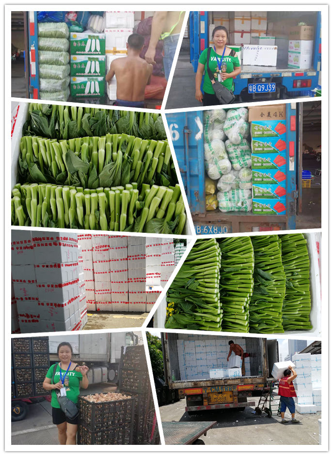 首页- 新宝GG集团创造事业平台