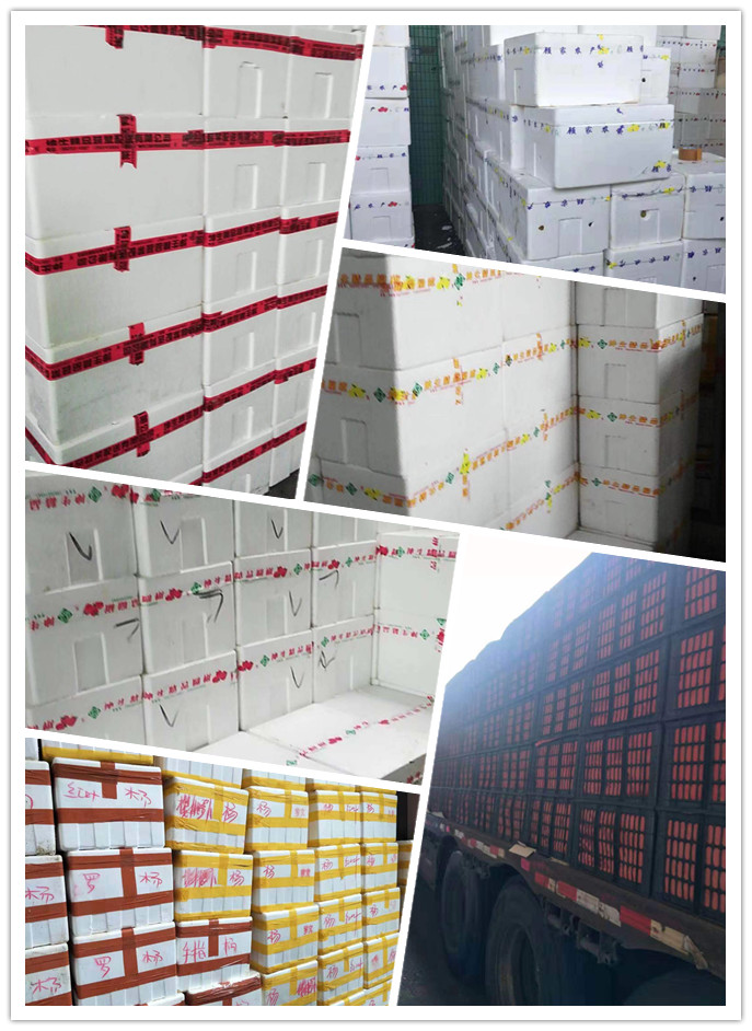 首页- 新宝GG集团创造事业平台