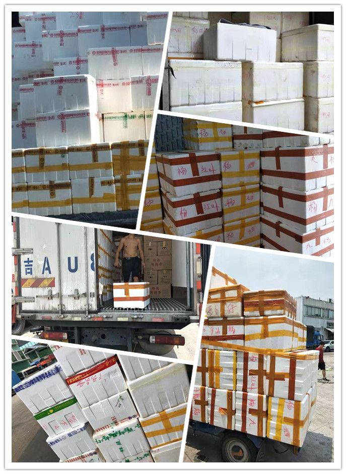 首页- 新宝GG集团创造事业平台