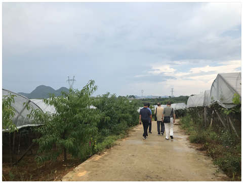 首页- 新宝GG集团创造事业平台