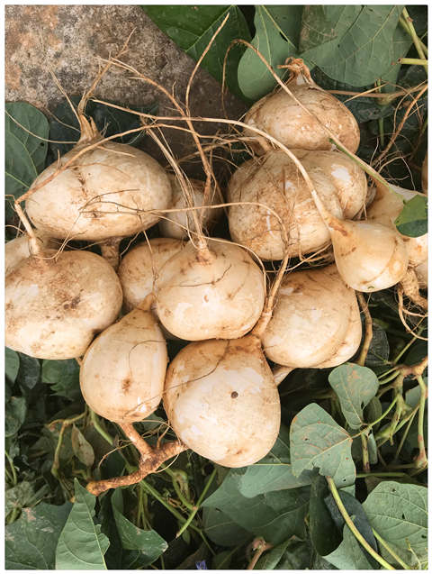 首页- 新宝GG集团创造事业平台