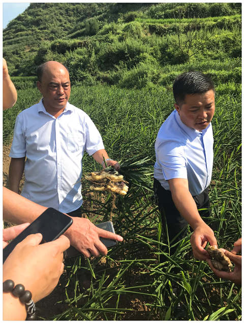 首页- 新宝GG集团创造事业平台