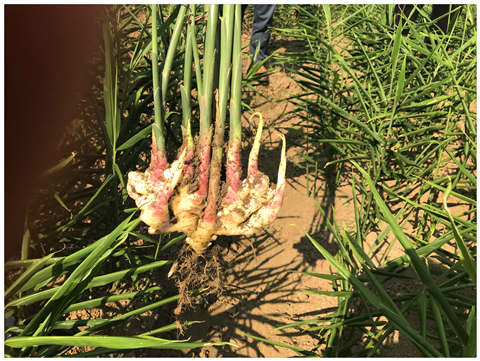 首页- 新宝GG集团创造事业平台