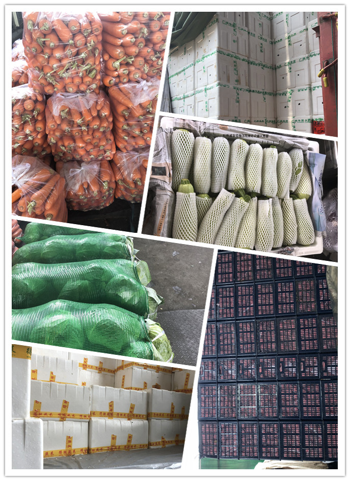 首页- 新宝GG集团创造事业平台