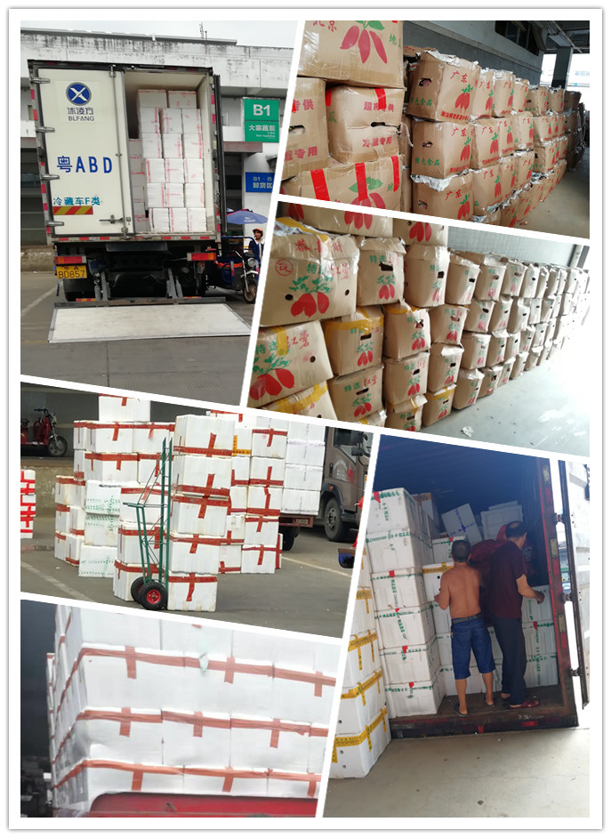 首页- 新宝GG集团创造事业平台