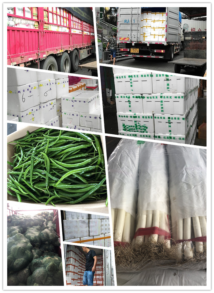 首页- 新宝GG集团创造事业平台