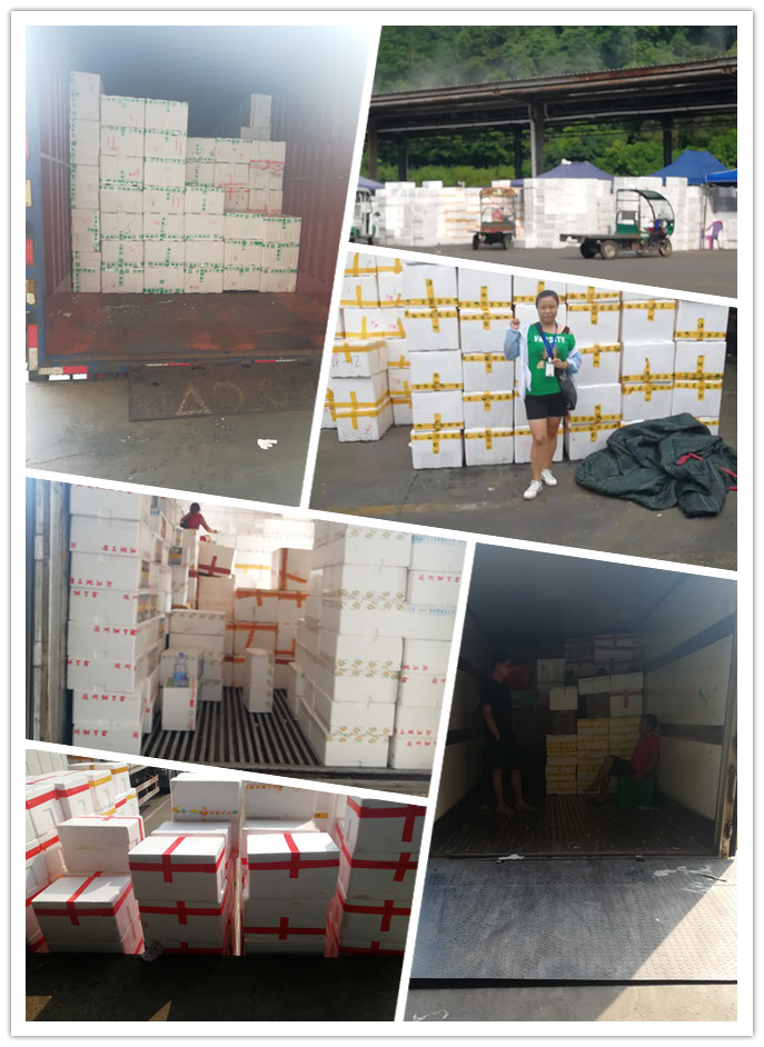 首页- 新宝GG集团创造事业平台