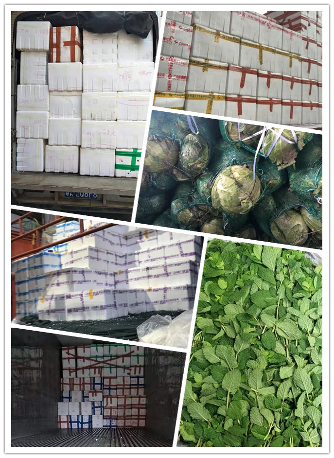 首页- 新宝GG集团创造事业平台