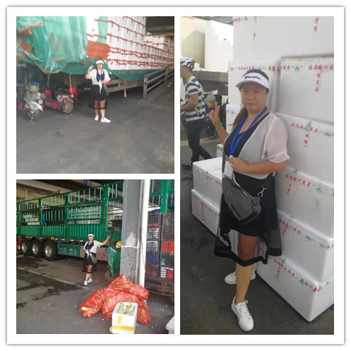 首页- 新宝GG集团创造事业平台