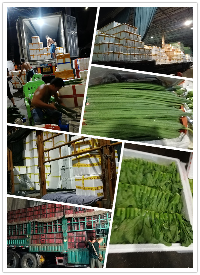 首页- 新宝GG集团创造事业平台