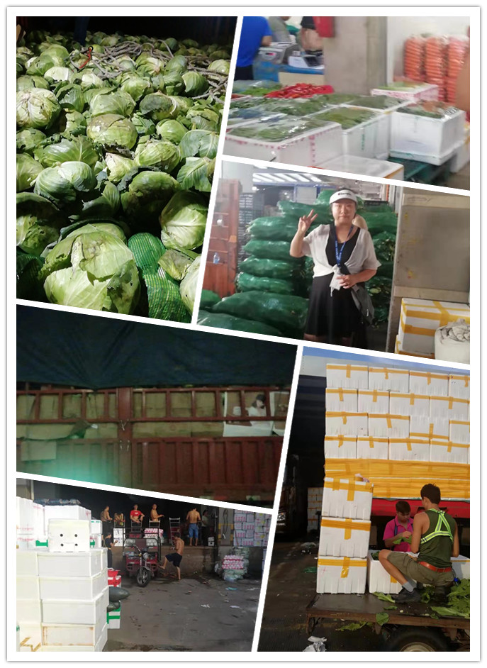 首页- 新宝GG集团创造事业平台