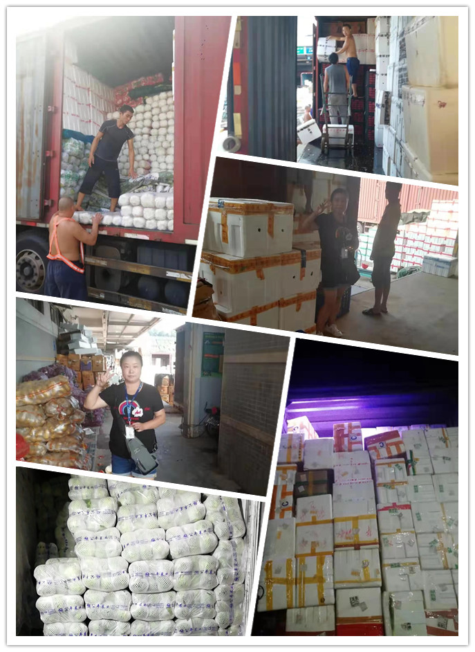 首页- 新宝GG集团创造事业平台