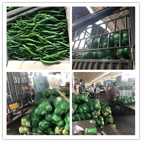 首页- 新宝GG集团创造事业平台