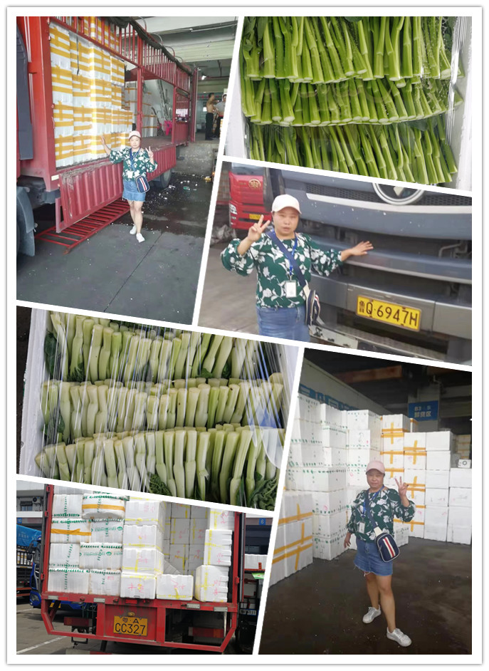 首页- 新宝GG集团创造事业平台