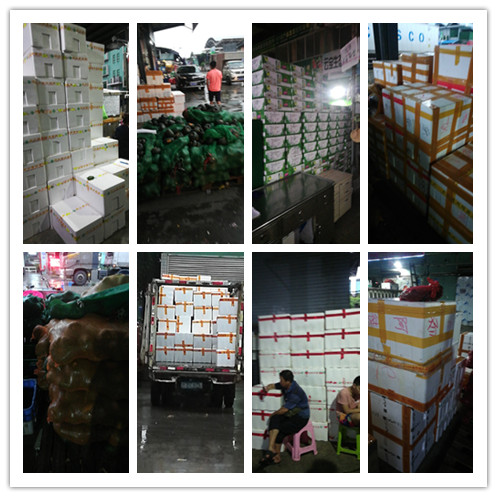 首页- 新宝GG集团创造事业平台